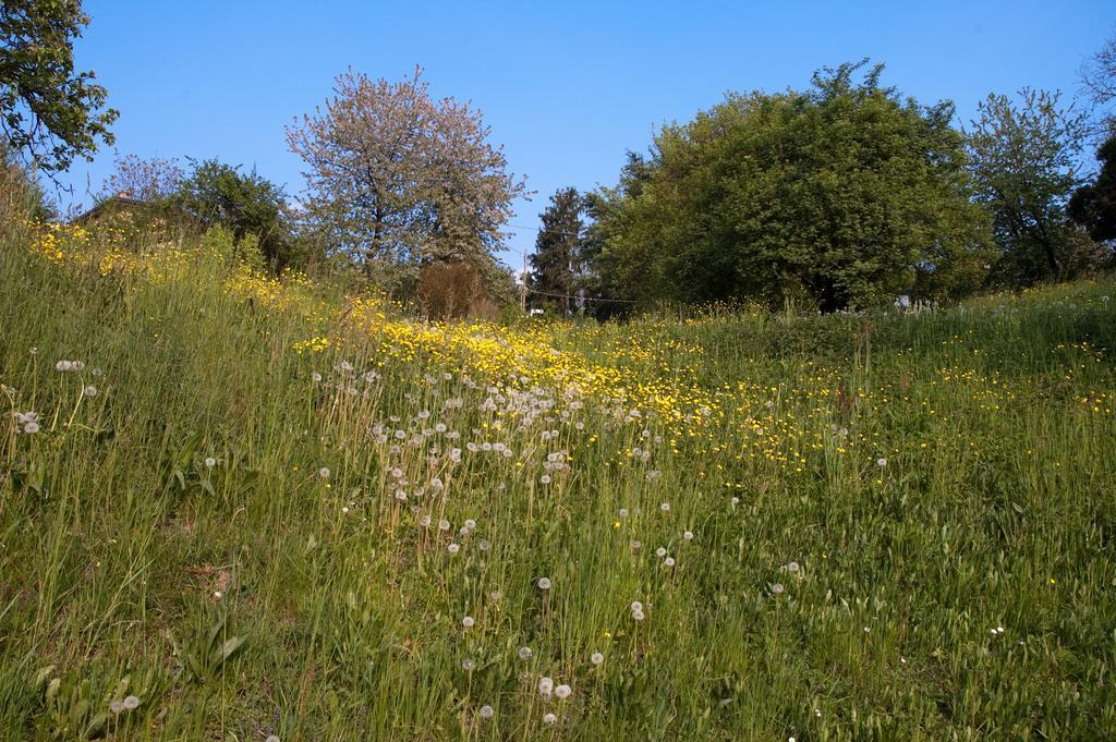 Bed and Breakfast Angelo Del Lotto Ponteranica Exterior foto