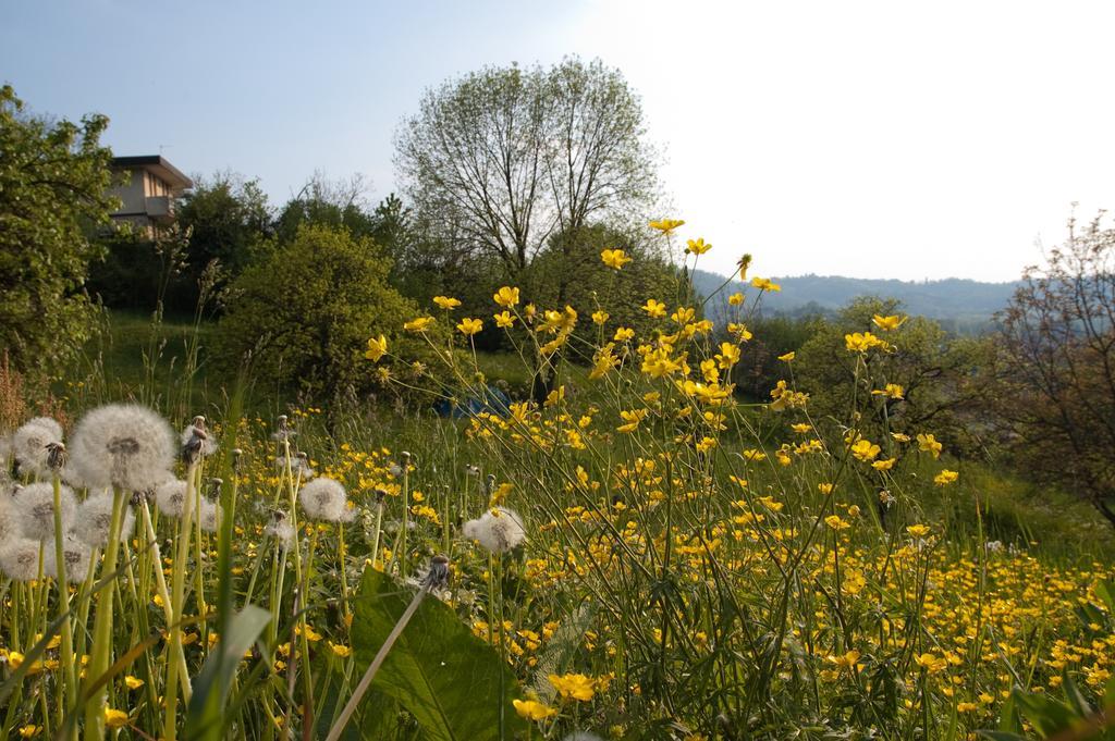 Bed and Breakfast Angelo Del Lotto Ponteranica Exterior foto