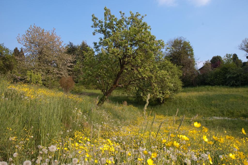 Bed and Breakfast Angelo Del Lotto Ponteranica Exterior foto